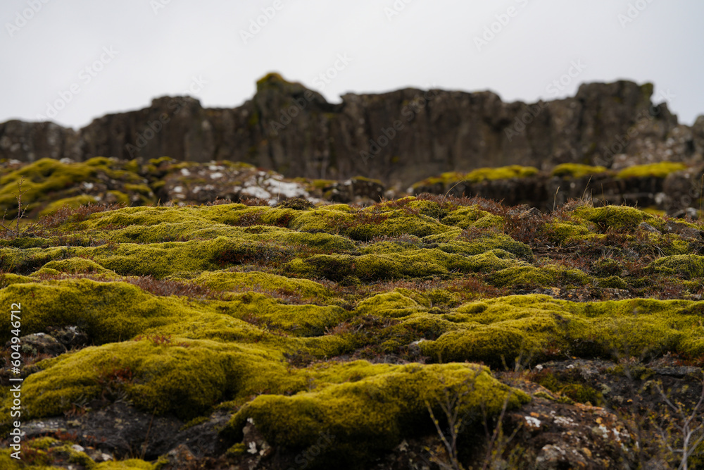landscape in Iceland. outdoor photography.