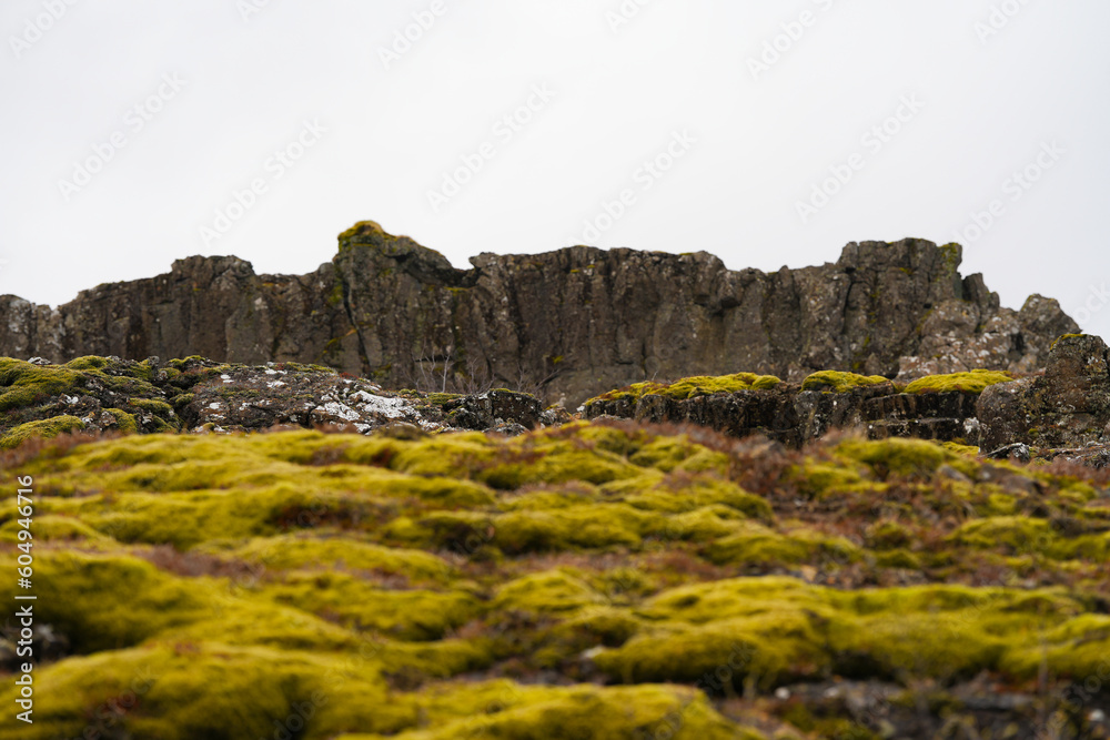 landscape in Iceland. outdoor photography. landscape in Iceland. outdoor photography.