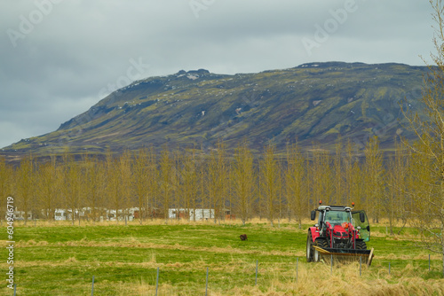 farm in Iceland. agriculture in precarious conditions. landscape.
