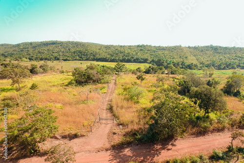 vineyard in region