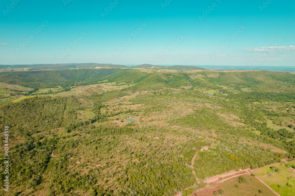 Obraz premium view of field