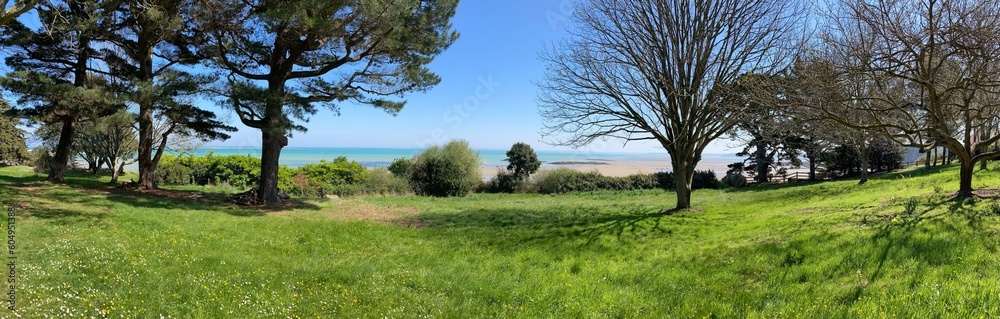 trees in the field over the sea in Saint Quay