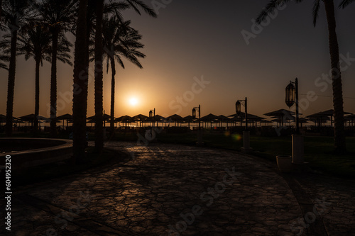 A beautiful sunset in the morning  over the sea  with a yellow sun in Hurgada  Egypt  beautifull view in a beach full of palms