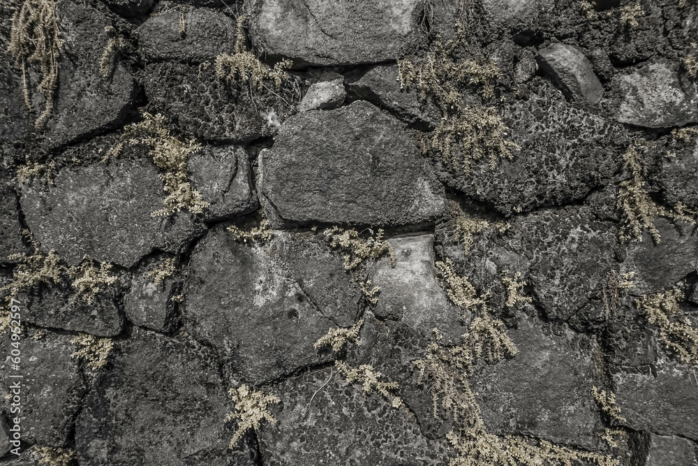 Texture of a stone wall. Old castle stone wall. Pattern gray color of modern style design decorative uneven cracked real stone wall surface with cement. Brick texture for wallpaper or background. Texture of a stone wall. Old castle stone wall. Pattern gray color of modern style design decorative uneven cracked real stone wall surface with cement. Brick texture for wallpaper or background.