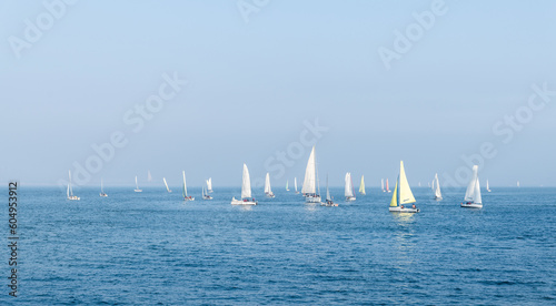 Obraz na plátně Group of sailboats in the sea