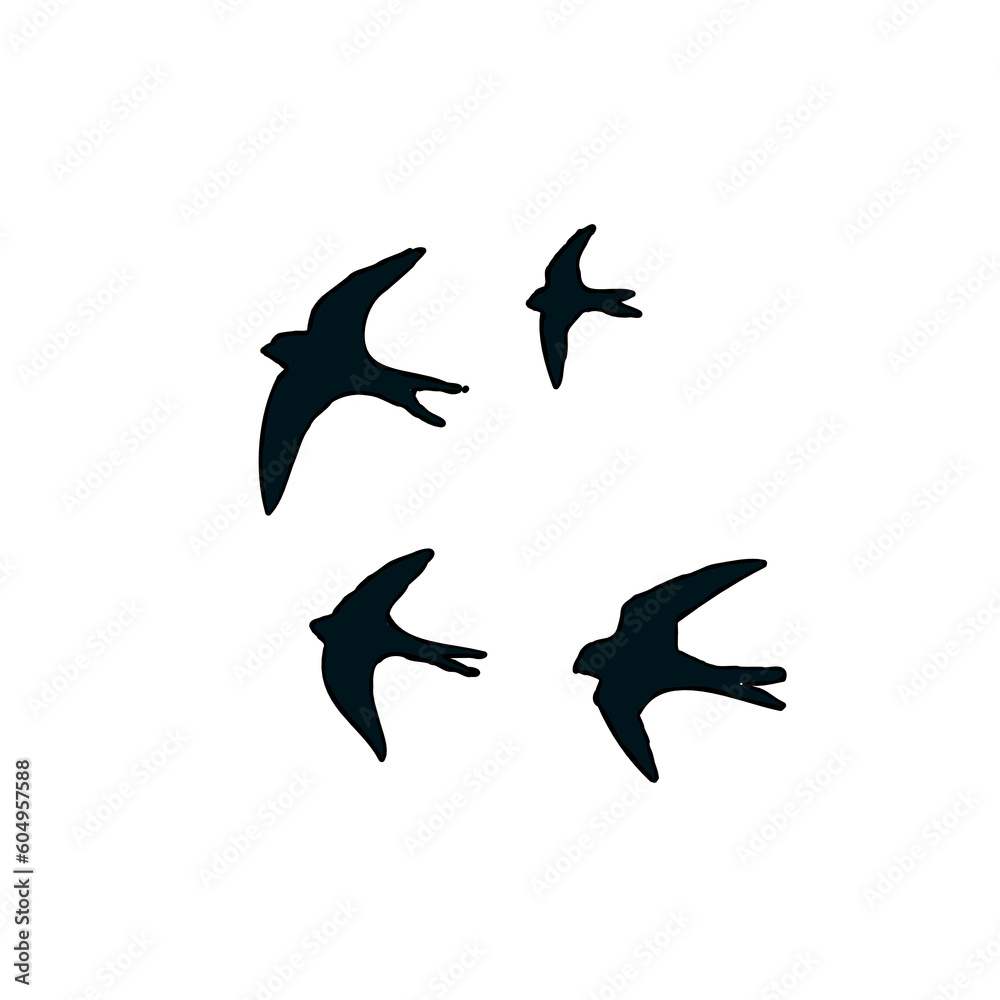Fototapeta premium Swallow bird sketch with a transparent background