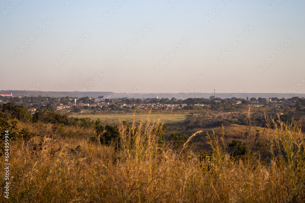 Late afternoon landscape in the cerrado
