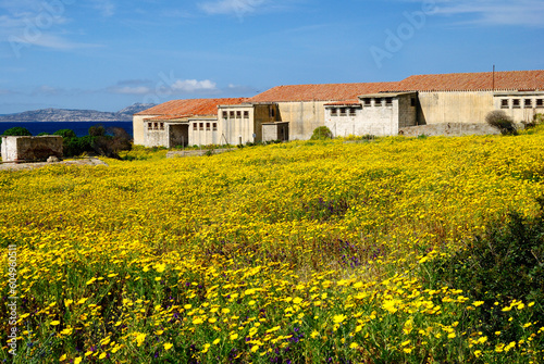 Il vecchio carcere di Trabuccato nell'isola dell'Asinara