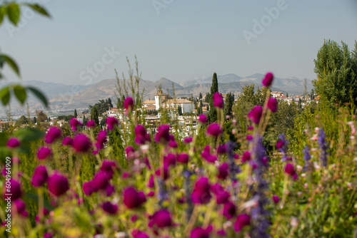 Royal gardens with plants, colourful flowers and insects