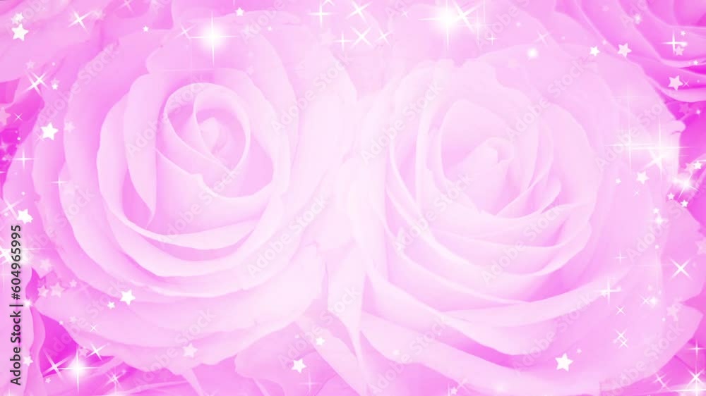 Copy space pink rose background with glitter sparkles Copy space pink rose background with glitter sparkles