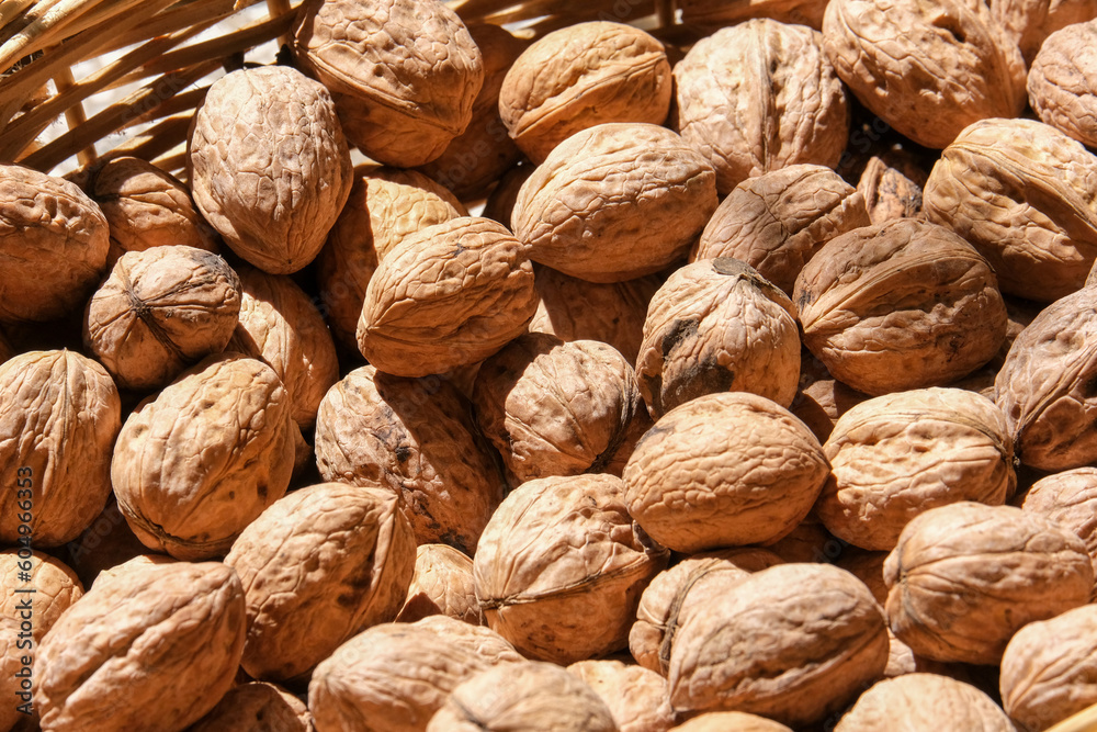 Close up organic whole unopened walnut shells inside wicker basket under sun. Unopened walnut shell background. Studio shot of unopened walnut. Selective focus area. Close up organic whole unopened walnut shells inside wicker basket under sun. Unopened walnut shell background. Studio shot of unopened walnut. Selective focus area.
