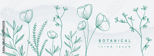 Botanical abstract background with floral line art design. Horizontal web banner in minimal style with blooming poppy flowers contour, different leaves and plant twigs border. Vector illustration.