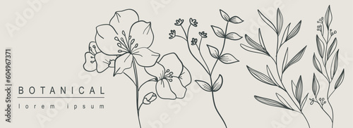 Botanical abstract background with floral line art design. Horizontal web banner with minimal composition of flower blossoms on twigs, herbs and leaves on branches collection. Vector illustration.