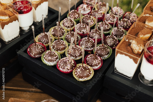 Obraz na płótnie Candy bar for party. Festively met guests with different desserts. Wedding. Reception.
w salonie
