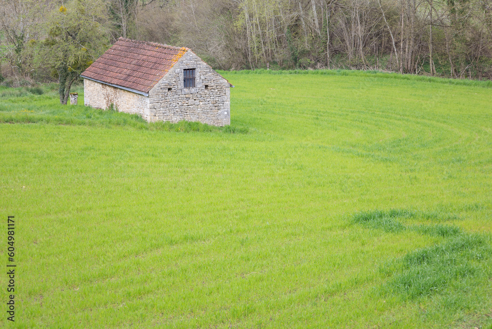 Maison en pierre dans un champ vert au printemps 