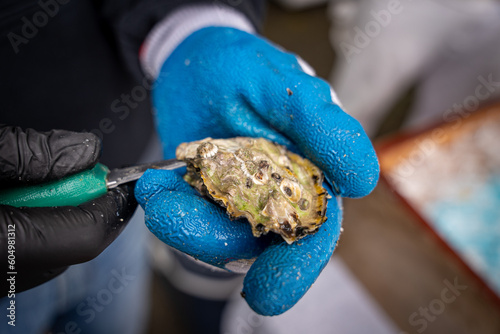 shucking an oyster