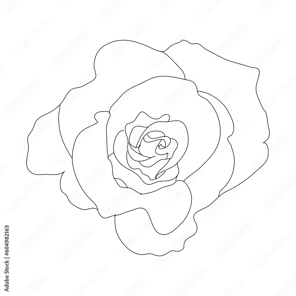 Top view of a line art rose Top view of a line art rose