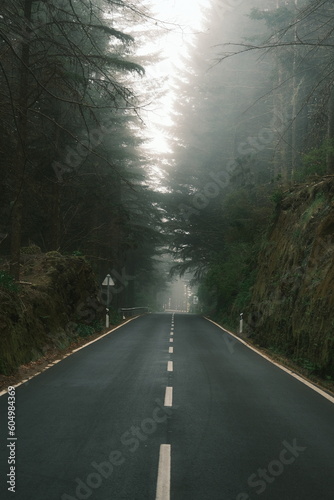 long misty road