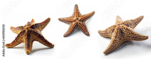 starfish collection isolated on white background, Generative AI
