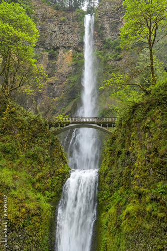 Multnomah Falls - A vertical close-up view of roaring Multnomah Falls and Multnomah Creek Bridge on a stormy Spring day. Columbia River Gorge  Oregon  USA.