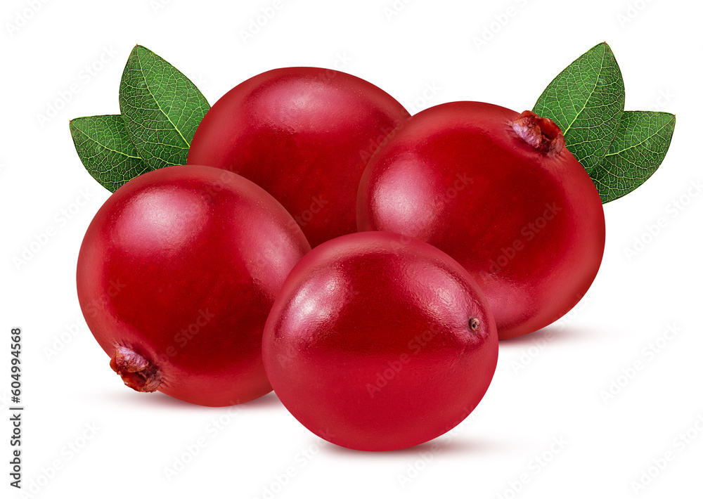 Bunch cranberry. Berry with green leaf Bunch cranberry. Berry with green leaf