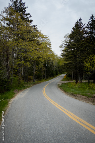 Road in rural Maine