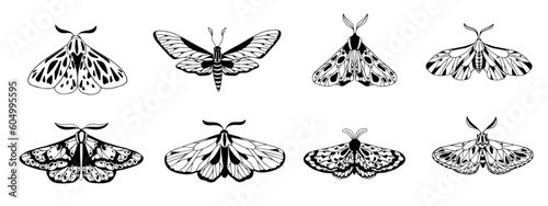 A set of sketches, doodles of the night moth. Vector graphics.