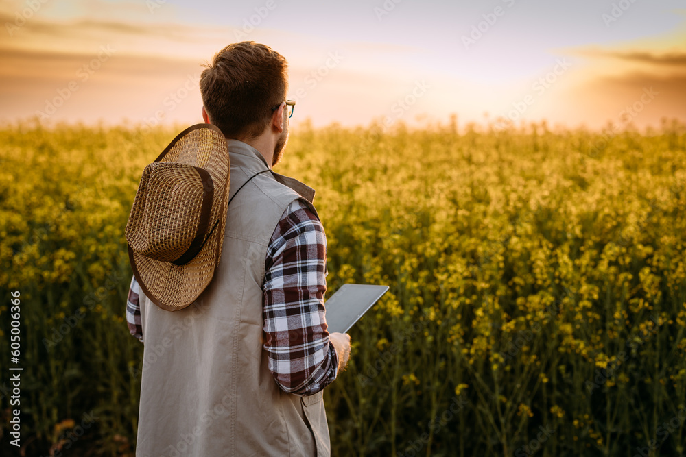Back view of a Caucasian farmer standing in front of the field at sunset.