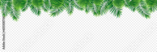 Tropical banner seamless vector illustration. jungle plants, palms leaves repeated background. Green foliage template pattern. Repeated texture. tropic design for summer, travel, vacation cards.
