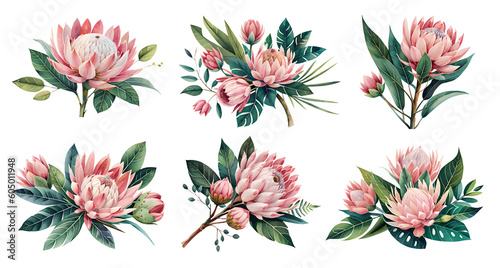 Watercolor protea flowers with leaves. Generative Ai