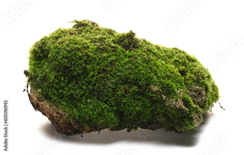 Green moss on stone isolated on white 
