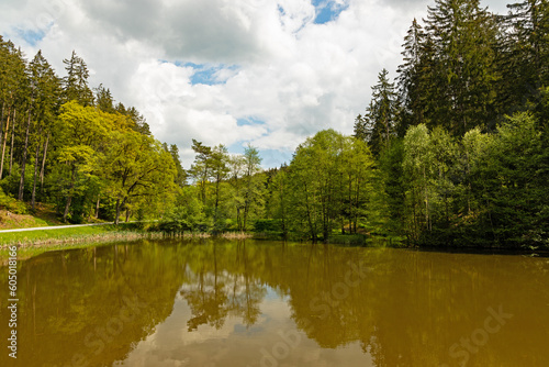 Fototapeta Naklejka Na Ścianę i Meble -  pond in the Dammbach creek ground near Bad berka in thuringia
