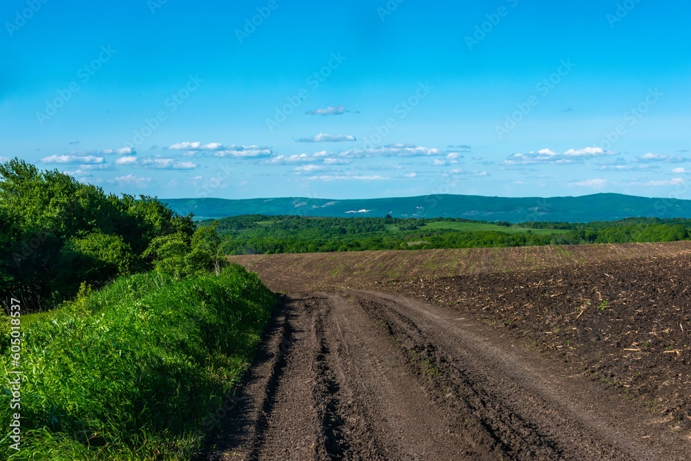 Fototapeta premium rural country road near a plowed field in the foothills of the Caucasus on a sunny summer day