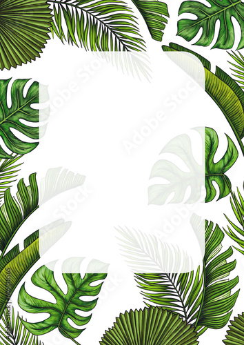 Fototapeta Naklejka Na Ścianę i Meble -  Rectangular A4 template for text with tropical palm leaves. Frame or border with jungle rainforest exotic plants. Isolated on white realistic hand drawn illustration for label design.