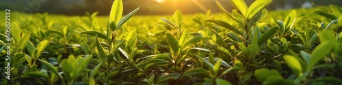 Fresh tea bud and leaves. Generative AI