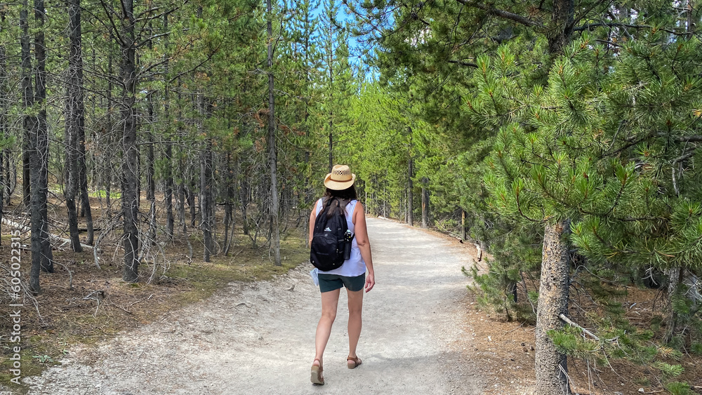 woman walking trail through forest in Norris Geyser Basin woman walking trail through forest in Norris Geyser Basin