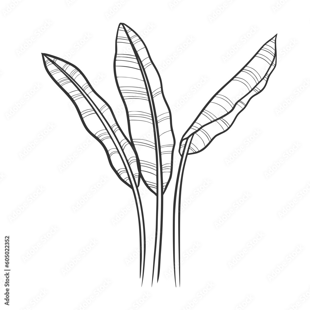 Tropical Leaves logo design inspiration Tropical Leaves logo design inspiration