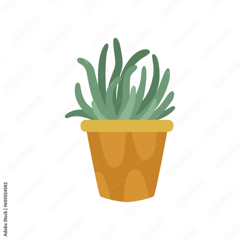succulent house plants logo design inspiration succulent house plants logo design inspiration