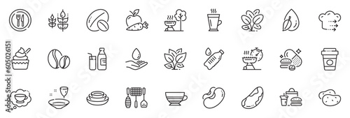 Icons pack as Beans  Plate and Food delivery line icons for app include Ice cream  Gluten free  Water drop outline thin icon web set. Coffee beans  Water bottle  Fast food pictogram. Vector