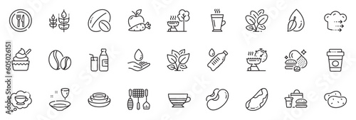 Icons pack as Beans, Plate and Food delivery line icons for app include Ice cream, Gluten free, Water drop outline thin icon web set. Coffee beans, Water bottle, Fast food pictogram. Vector
