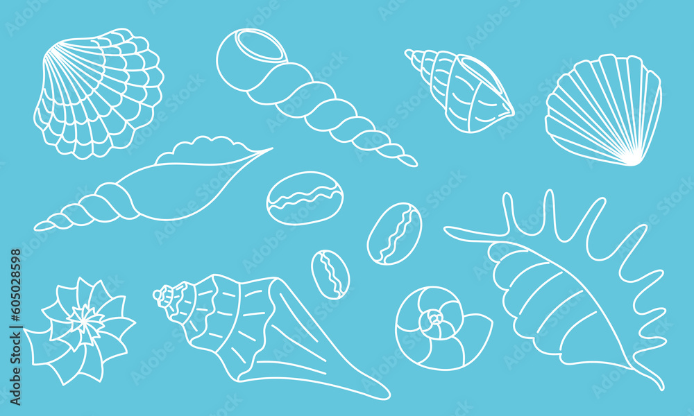 Set of Doodle Seashells. Outline white hand Drawn underwater shells on blue background