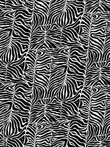 Scewed zebra print