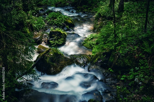 Witrabach bei Forst in Österreich
