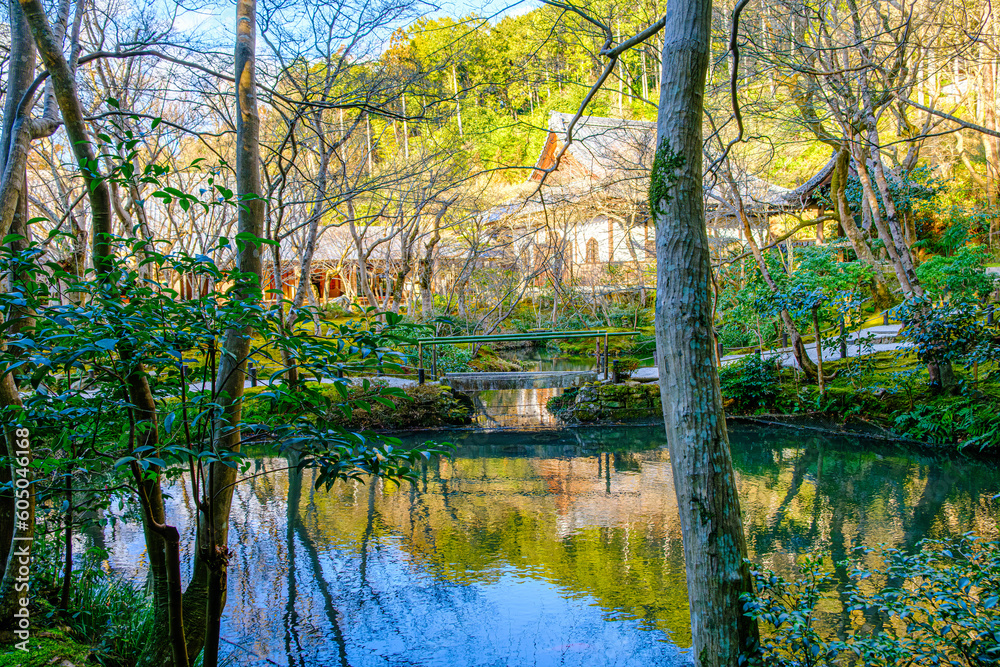 京都、圓光寺の庭園「十牛之庭」