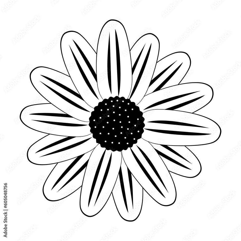 Daisy flower head isolated black and white vector illustration in ...