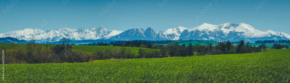 Fototapeta premium Panorama Tatr z trasy rowerowej w Nowy Targ - Chochołów