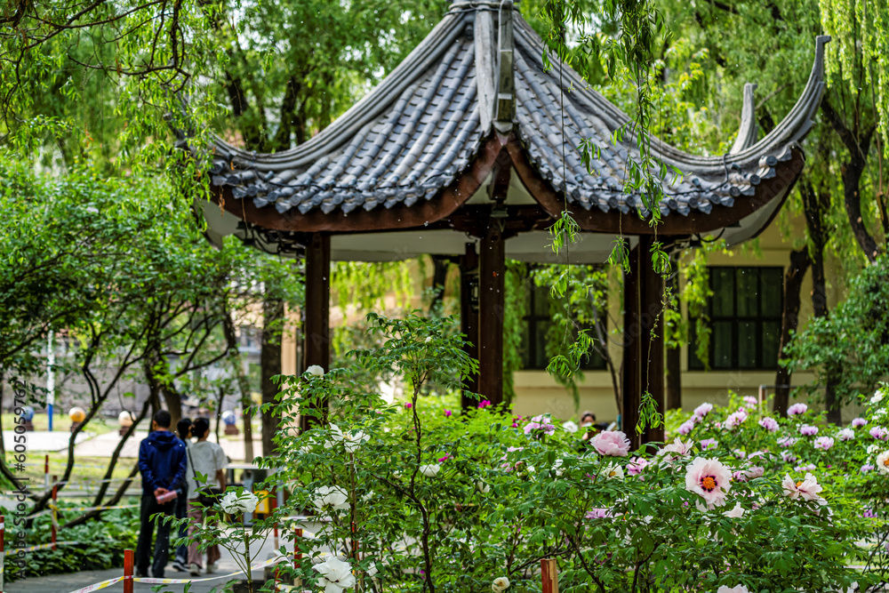 View of Peony Garden in Changchun, China