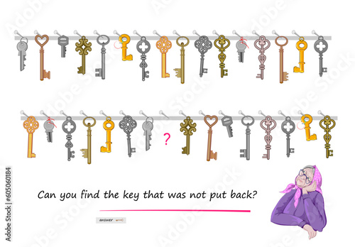 Logic puzzle for children and adults. Can you find the key that was not put back? Educational game. Printable page for kids brain teaser book. Play online. Vector cartoon illustration.