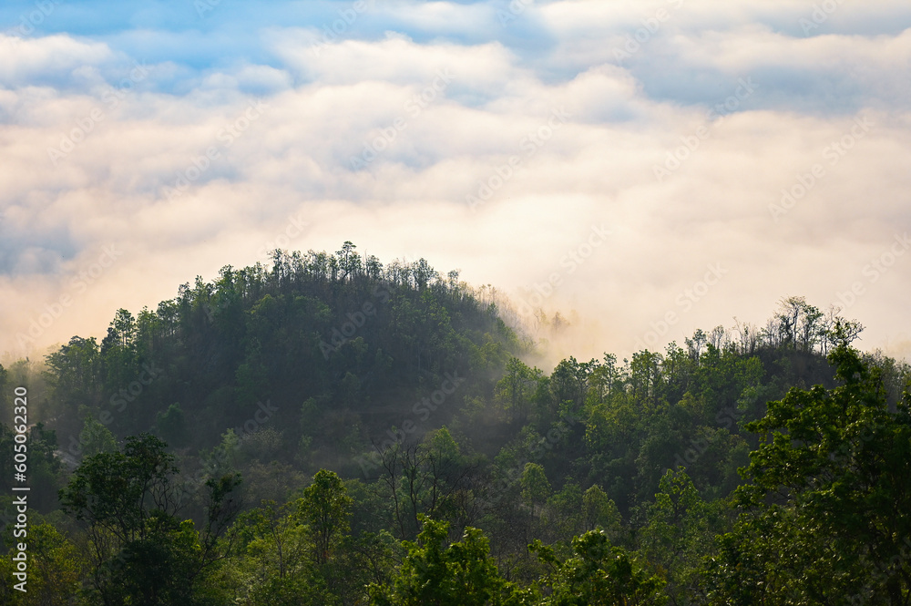 landscape forest in the morning beautiful sunrise mist cover mountain background  winter foggy view at beautiful misty spring mountain valley  and mountains in mist on background