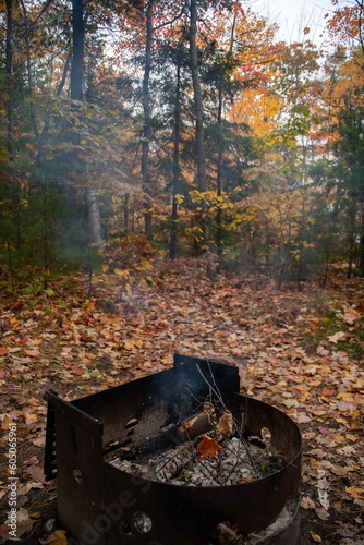 Burnt fire wood in a fire pit on a campground during colourful Fall